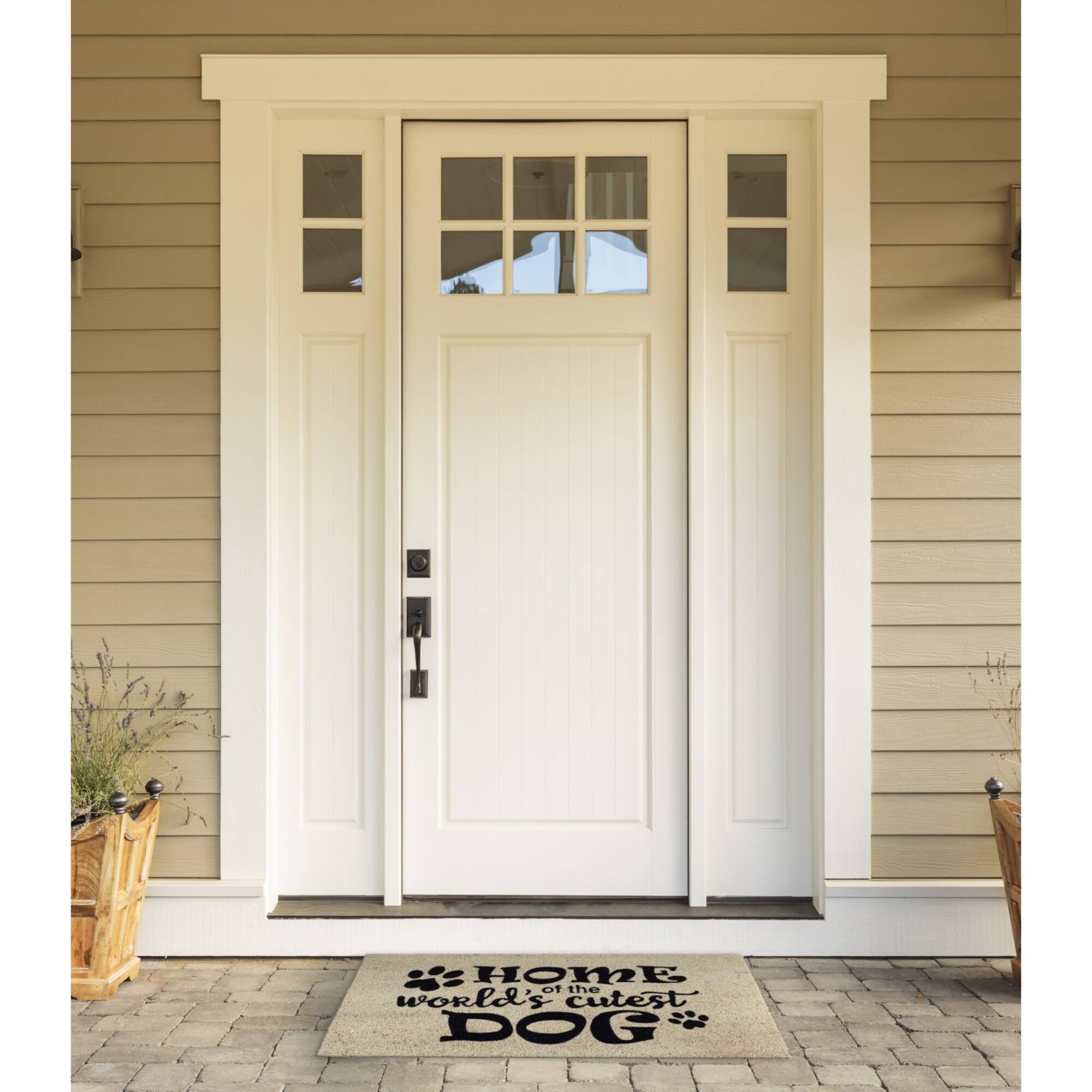 DII® World's Cutest Dog Doormat